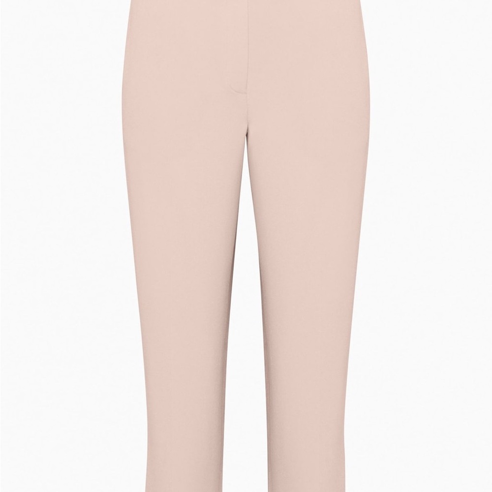 Aritzia Babaton Conan Wide Cropped Pant